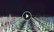 Gatteo a Mare 13.07.2025 01:25