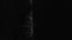 Maillezais 01.05.2025 01:16