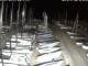San Benedetto del Tronto 12.07.2025 01:48