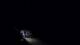 Jurmala 12.07.2025 01:18