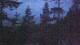 Narva-Jõesuu 05.07.2025 01:18