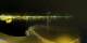 Menton 30.04.2025 01:19