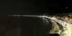 Nizza 01.05.2025 01:19