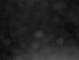 Costa Fortuna 01.05.2025 01:20