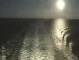 Costa Diadema 13.07.2025 01:28