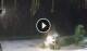 Bwejuu (Sansibar) 09.06.2025 01:20
