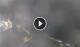 Furore 01.05.2025 01:21