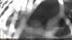 Agno (Luganersee) 12.07.2025 01:21