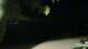 Le Morne 30.04.2025 01:22