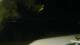 Le Morne 01.05.2025 01:22