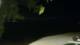 Le Morne 25.05.2025 01:22
