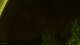Essenheim 01.05.2025 01:23