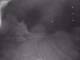 Rhede 30.04.2025 01:23