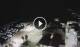 Punta Secca 08.07.2025 01:24