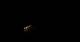 Taupitzalm 04.07.2025 01:24