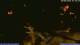 San Benedetto del Tronto 09.06.2025 01:25