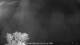 Carrum 01.05.2025 01:25