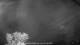 Carrum 09.05.2025 01:25