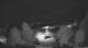Luttach 05.07.2025 01:25