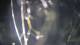 Solkan 02.07.2025 01:25