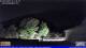Chieti 01.05.2025 01:26