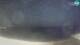 Castelsardo 15.06.2025 01:26