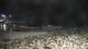 Malpica 01.05.2025 01:27
