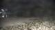 Malpica 13.07.2025 01:31