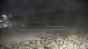 Malpica 14.07.2025 01:31