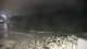 Malpica 10.06.2025 01:27
