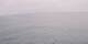 AIDAbella 24.06.2025 01:49