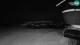 Krvavec 23.05.2025 01:28