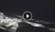 Algodonales 01.05.2025 01:28