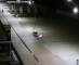 De Panne 20.05.2025 01:29