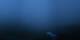 Leysin 08.07.2025 01:17