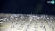 Bibione 02.07.2025 01:28