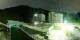Nendaz 12.06.2025 01:18