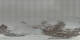St. Moritz 21.04.2025 01:29