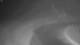 Corpus Christi, Texas 01.05.2025 01:31