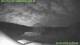 Holm 01.05.2025 01:31