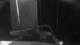 Le Ponant 01.05.2025 01:32