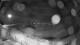 Plouescat 22.06.2025 01:23