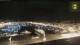 Marseille 11.07.2025 01:26