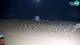 Bibione 15.06.2025 01:32