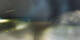 Graz 01.05.2025 01:32