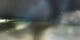 Graz 30.04.2025 01:32