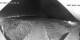 Durban 30.04.2025 01:33