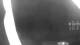 Vado Ligure 01.05.2025 01:33