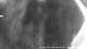 Glenborrodale 09.06.2025 01:34