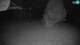 Cerkno 13.07.2025 01:34